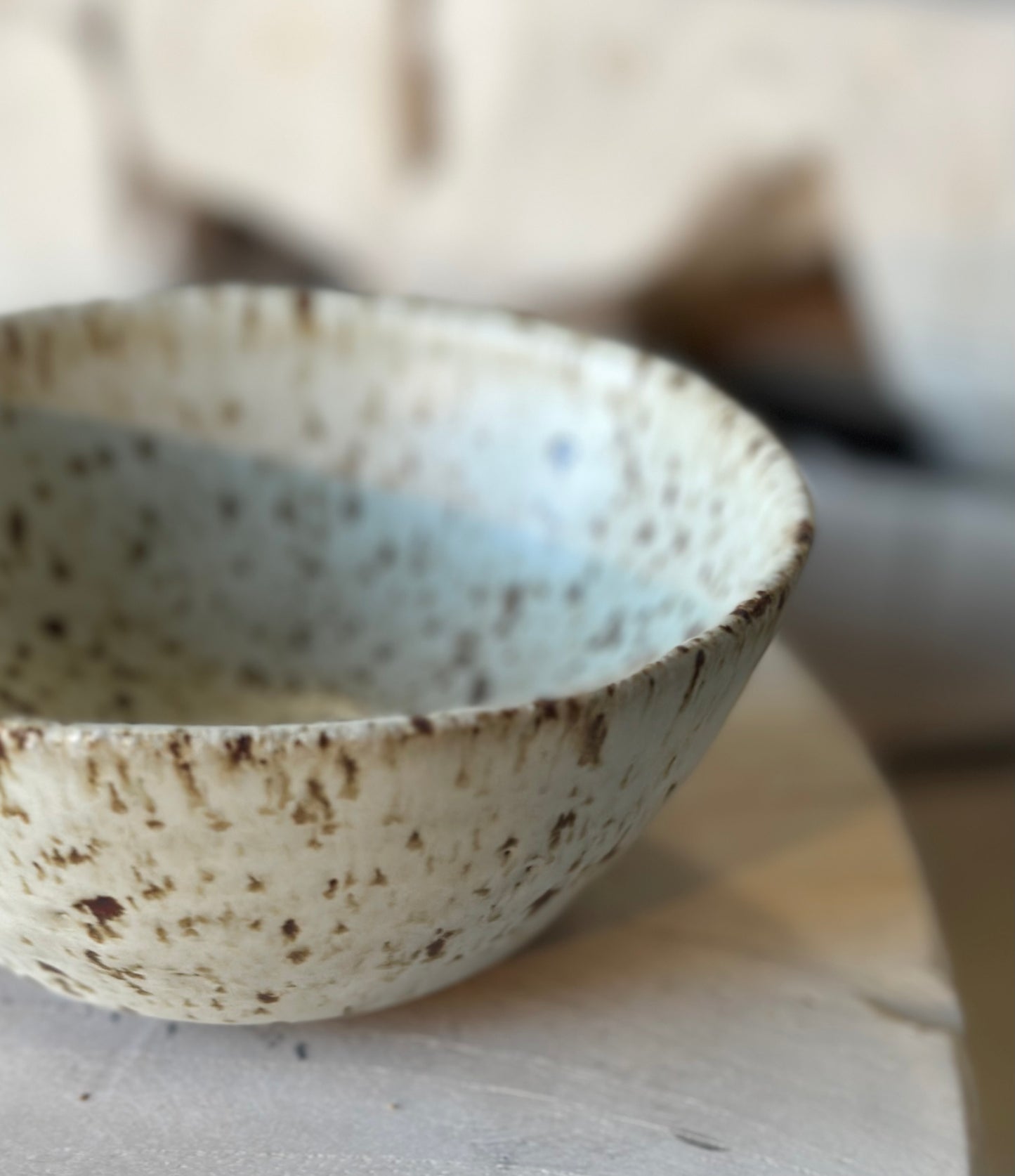 speckled 10'' x 3'' serving bowl by nan howe