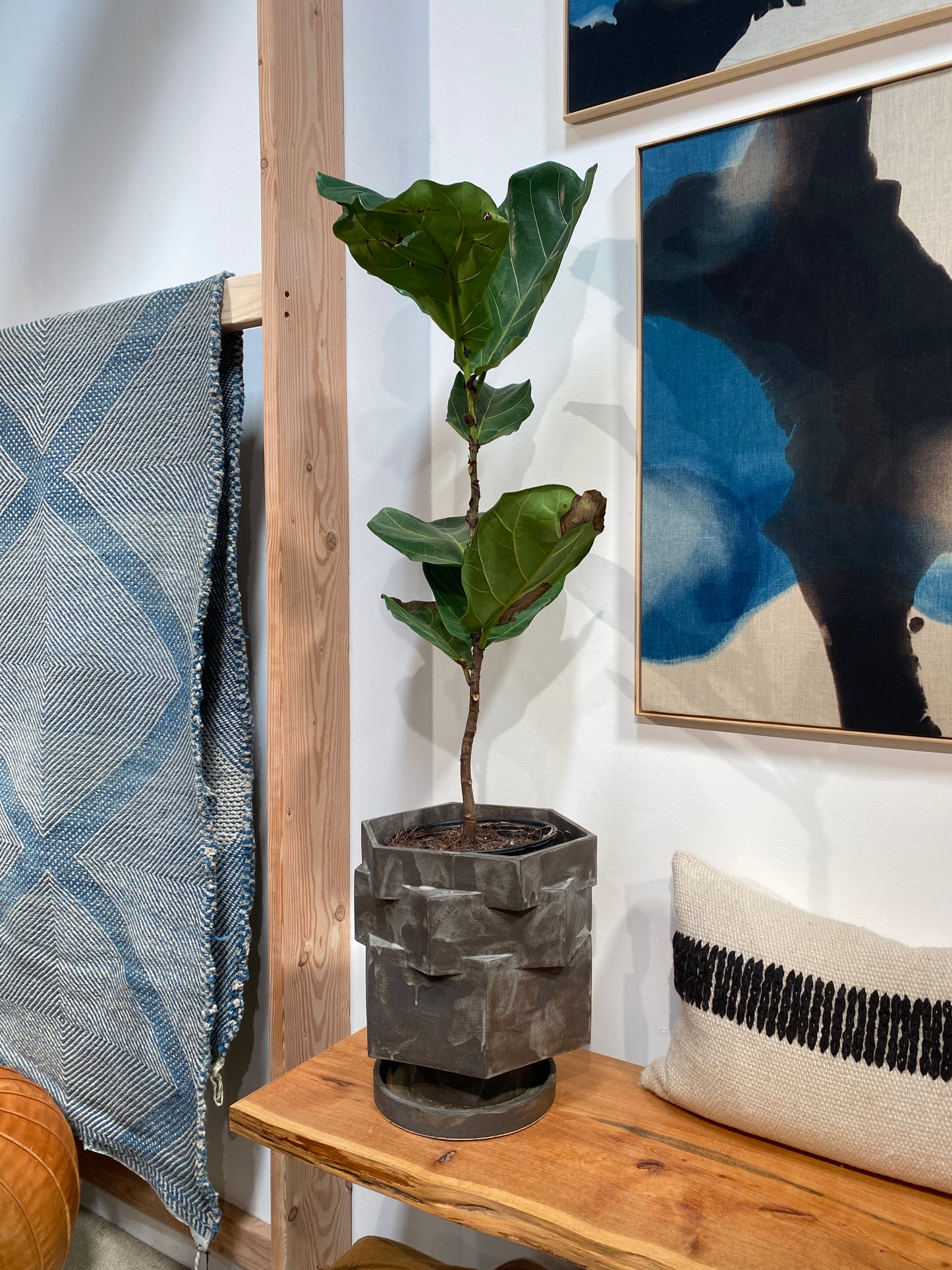 Acai Extra Large Hex Planter by legendary ceramicist, BZippy.