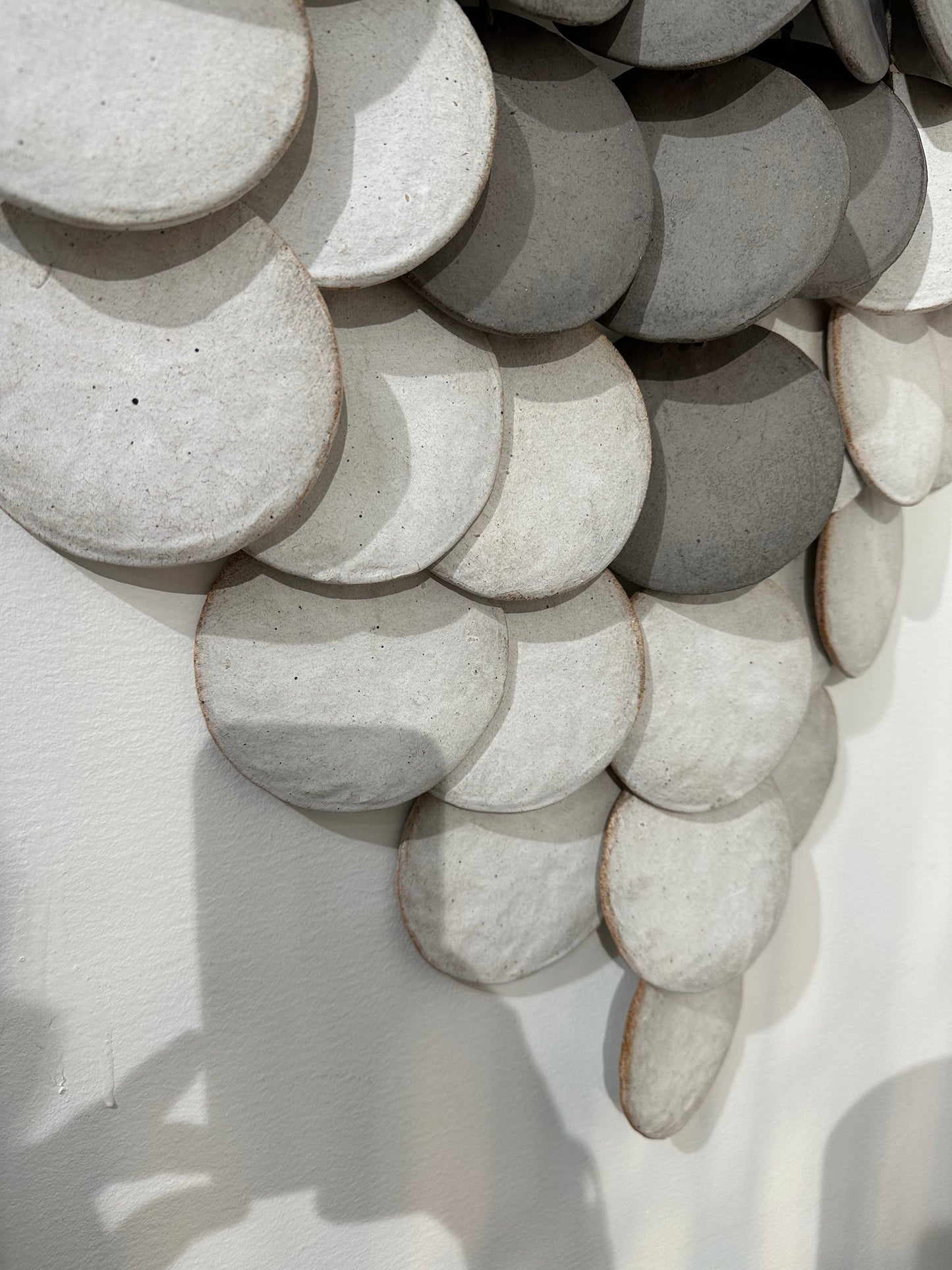 PLT7L Disc: Grey & White, White Oak