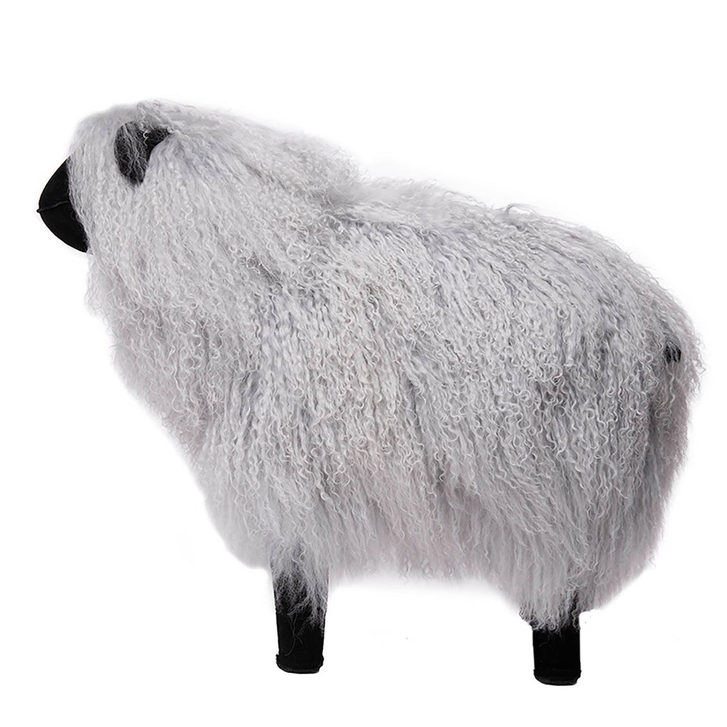 Tibetan Lamb Sheep - Gray