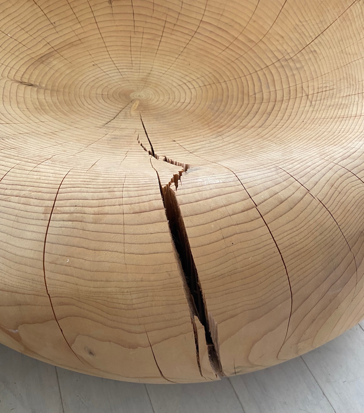 Aromatic Lenabese Cedar Chair by Terry Dwan (stationary)