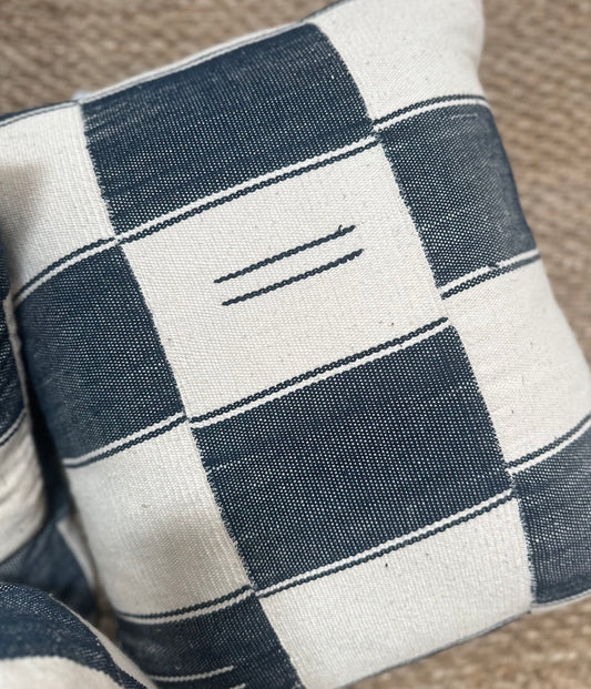 Damiye Cotton Pillow and Insert