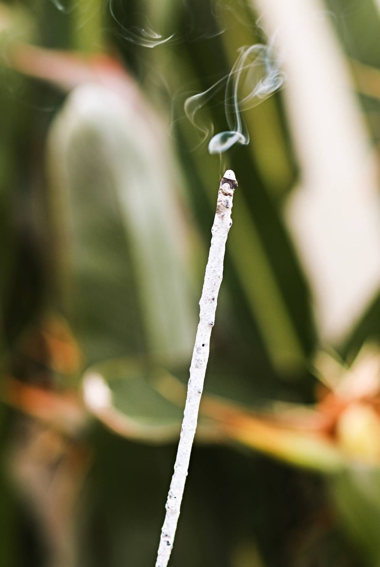 Elemante - White Copal Incense Sticks (Rolled in Tulum) 20h+ burn time