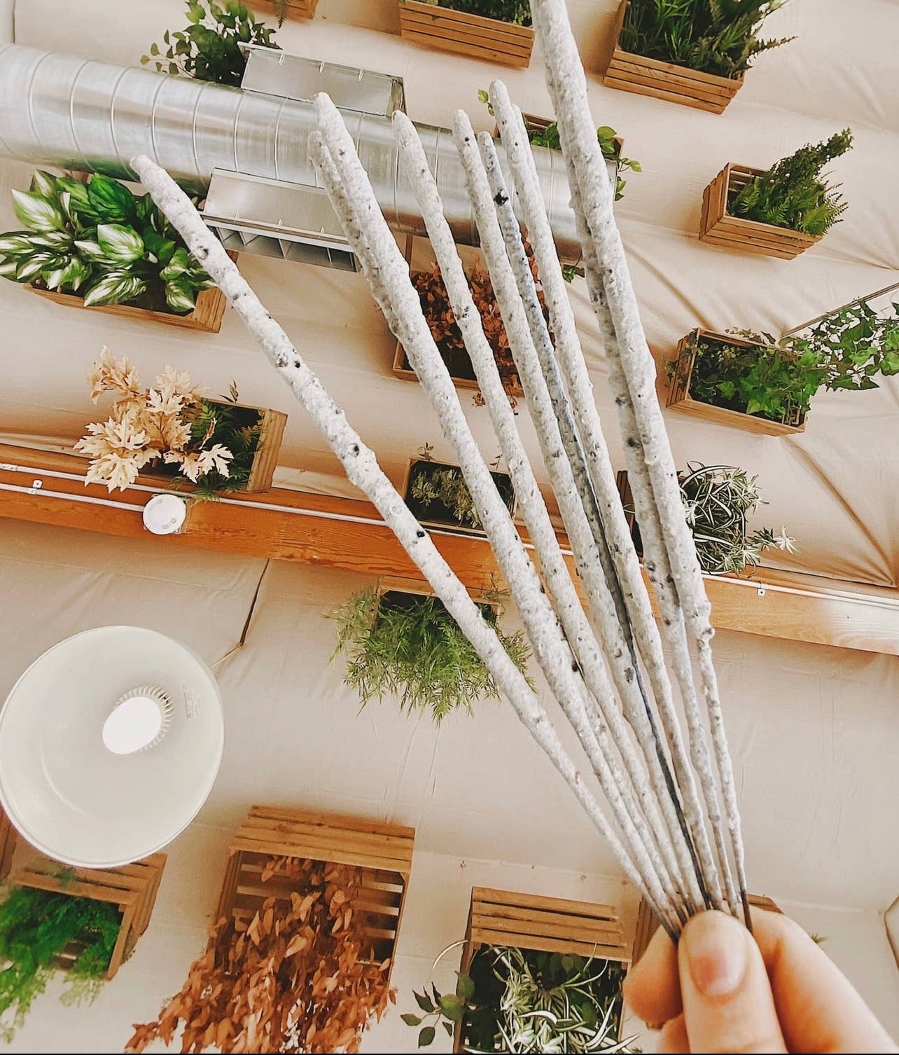 Elemante - White Copal Incense Sticks (Rolled in Tulum) 20h+ burn time