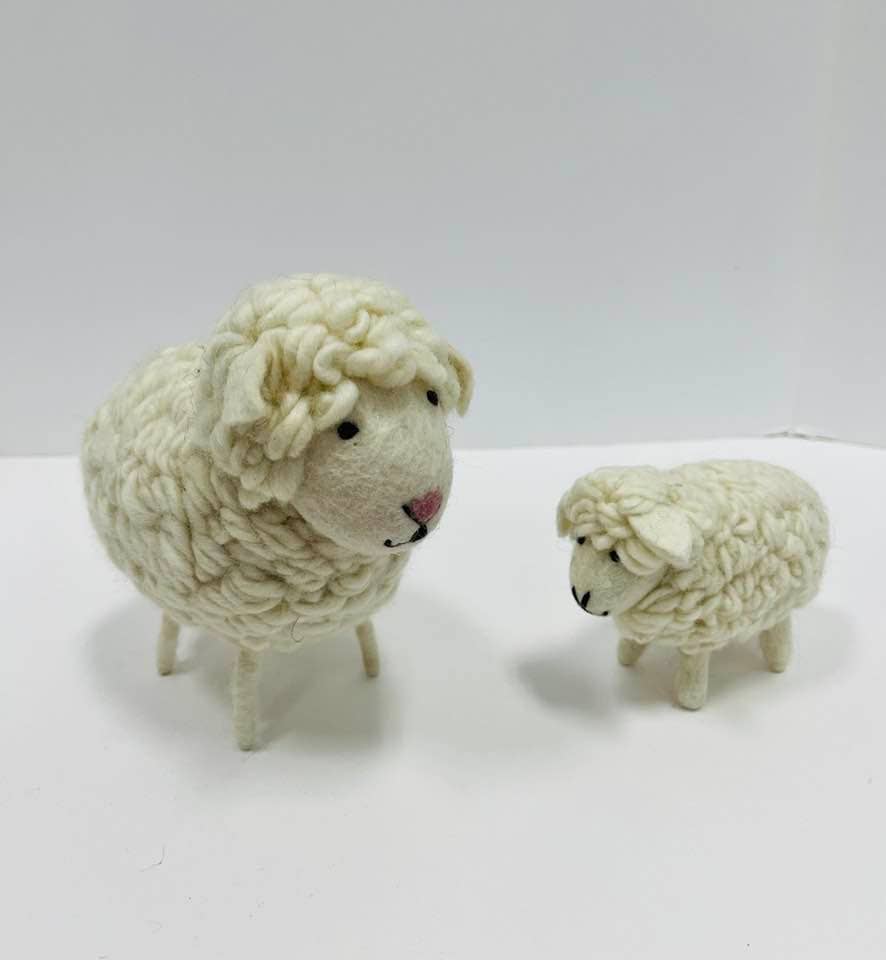 Lrg White Wool Sheep